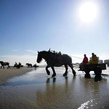 In With Ocean Views Nieuwpoort