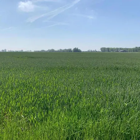 In With Ocean Views 公寓