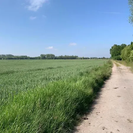 In With Ocean Views 尼乌波特