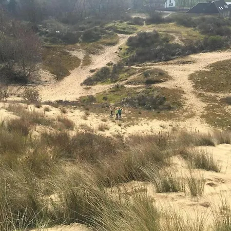 In With Ocean Views 公寓 *