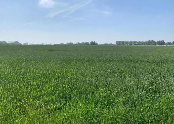 In With Ocean Views Apartment