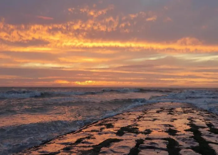 Apartment In With Ocean Views *